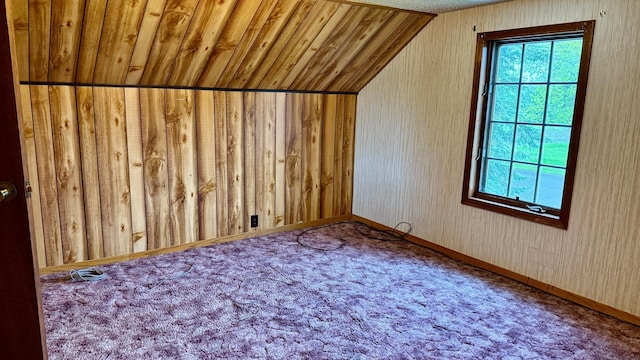 112 4th St E, Park Rapids, MN 56470 - additional living space with carpet flooring