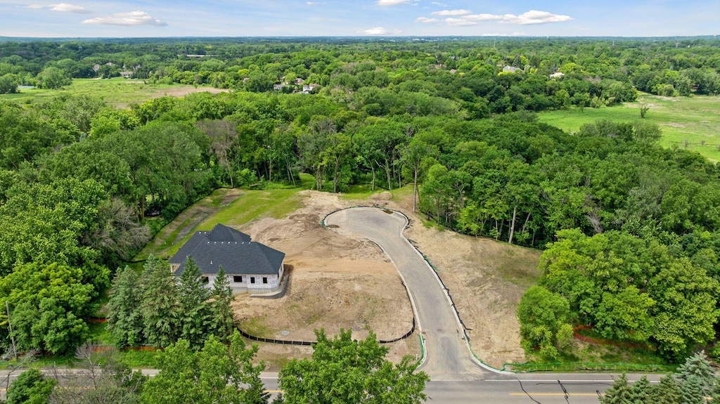 12806 Woodhaven Pl, Minnetonka, MN 55305 - photo 3