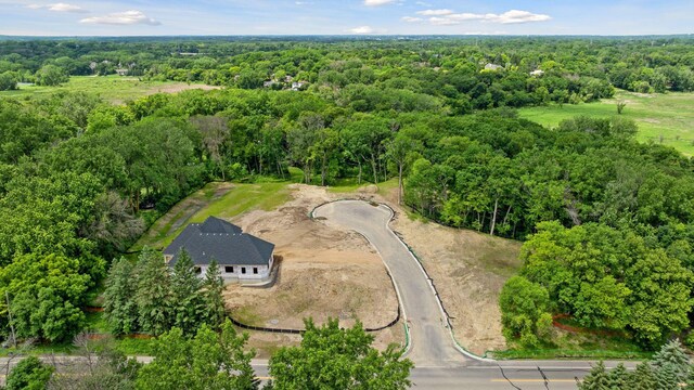 12806 Woodhaven Pl, Minnetonka, MN 55305 - photo 3