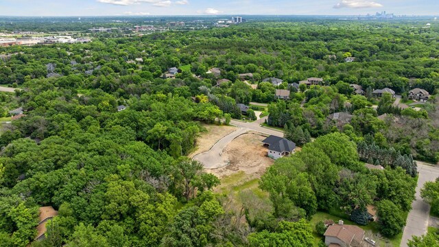 12806 Woodhaven Pl, Minnetonka, MN 55305 - photo 4