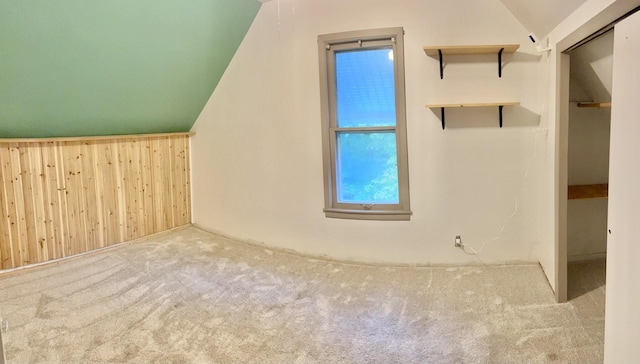 410 10th St SW, Willmar, MN 56201 - additional living space featuring vaulted ceiling, carpet flooring, and wooden walls