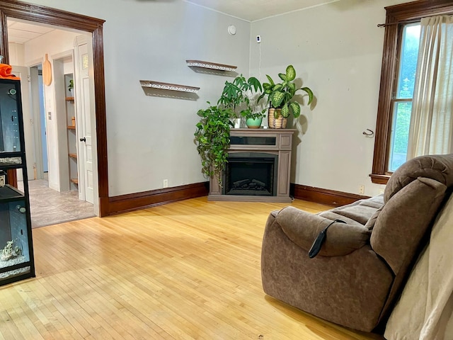 410 10th St SW, Willmar, MN 56201 - living area featuring hardwood / wood-style floors, plenty of natural light, and a fireplace with raised hearth
