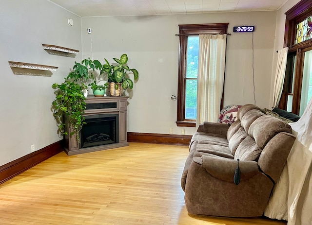 410 10th St SW, Willmar, MN 56201 - living room featuring light wood-type flooring and a fireplace