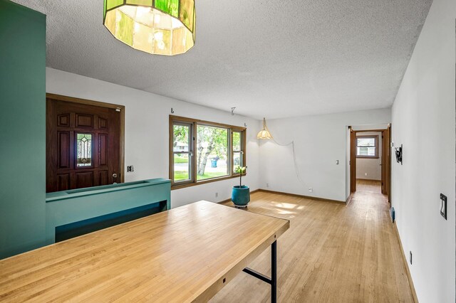 6121 Trinity Dr NE, Fridley, MN 55432 - office area featuring healthy amount of natural light, a textured ceiling, and light wood-type flooring