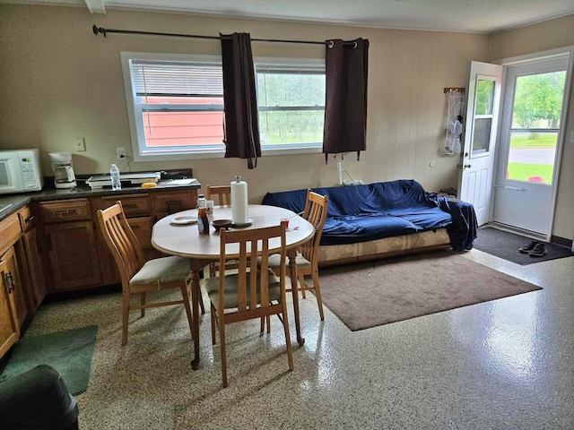 607 Riverside Ave, Park Rapids, MN 56470 - dining space featuring plenty of natural light