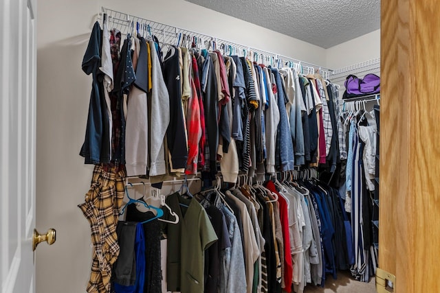 6226 Maclynn Ave NE, Otsego, MN 55301 - view of spacious closet