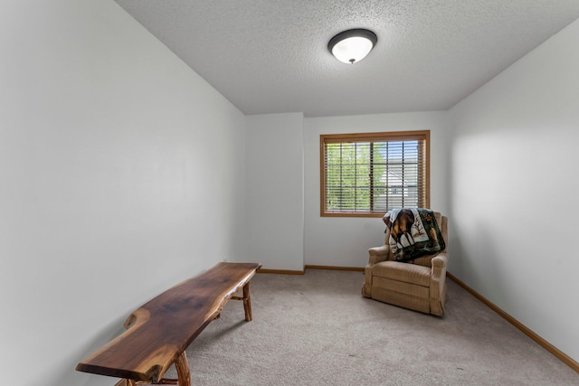 6226 Maclynn Ave NE, Otsego, MN 55301 - living area with carpet floors and a textured ceiling