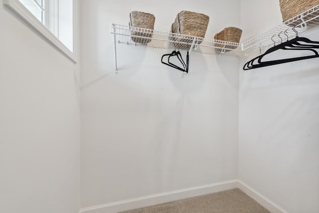 5890 Rathbun Ave NE, Otsego, MN 55374 - walk in closet featuring carpet flooring