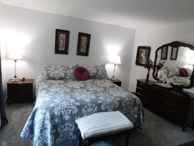 2524 25th Ave S, Fargo, ND 58103 - view of carpeted bedroom