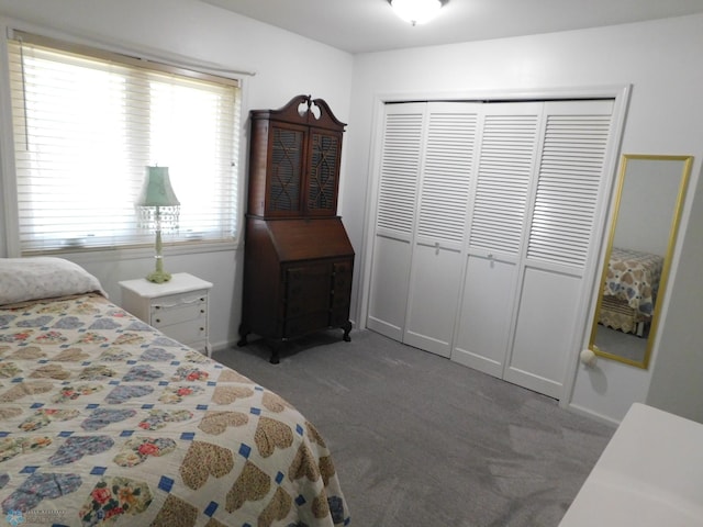 2524 25th Ave S, Fargo, ND 58103 - bedroom featuring light carpet and a closet