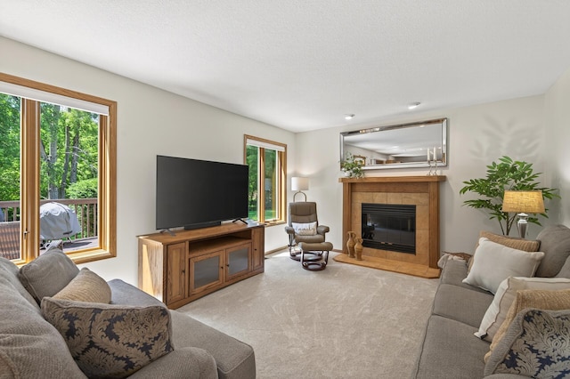 9109 Vickors Xing, Brooklyn Park, MN 55443 - photo 19