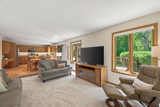 9109 Vickors Xing, Brooklyn Park, MN 55443 - photo 21