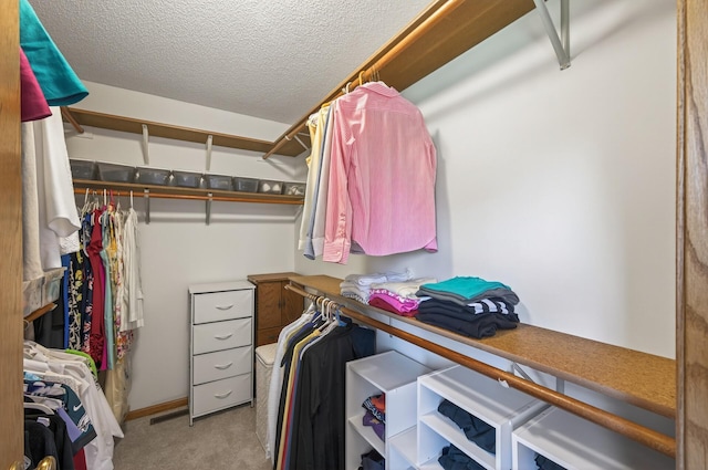 9109 Vickors Xing, Brooklyn Park, MN 55443 - photo 29