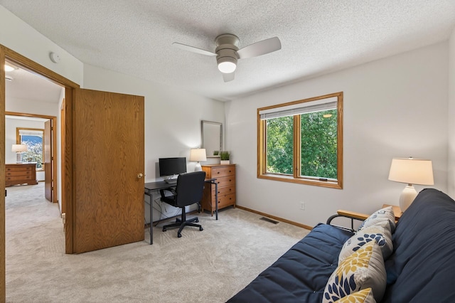 9109 Vickors Xing, Brooklyn Park, MN 55443 - photo 33