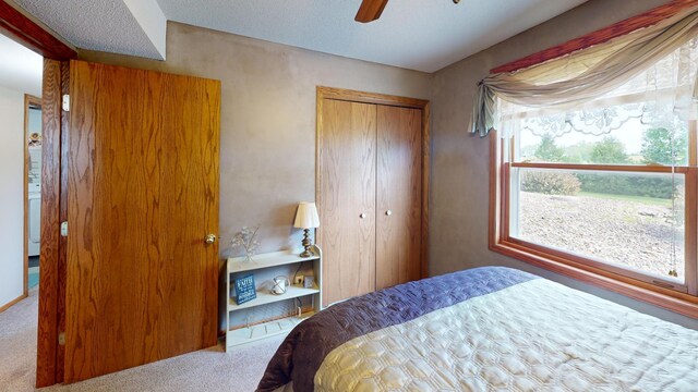 23371 650th Ave, Alden, MN 56009 - photo 17