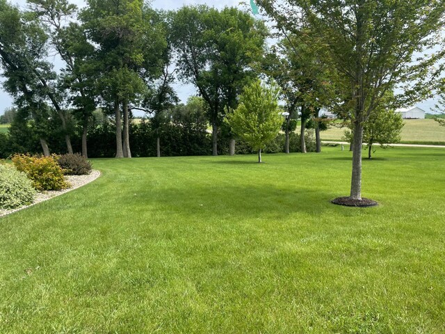23371 650th Ave, Alden, MN 56009 - photo 29