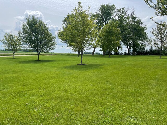 23371 650th Ave, Alden, MN 56009 - photo 31