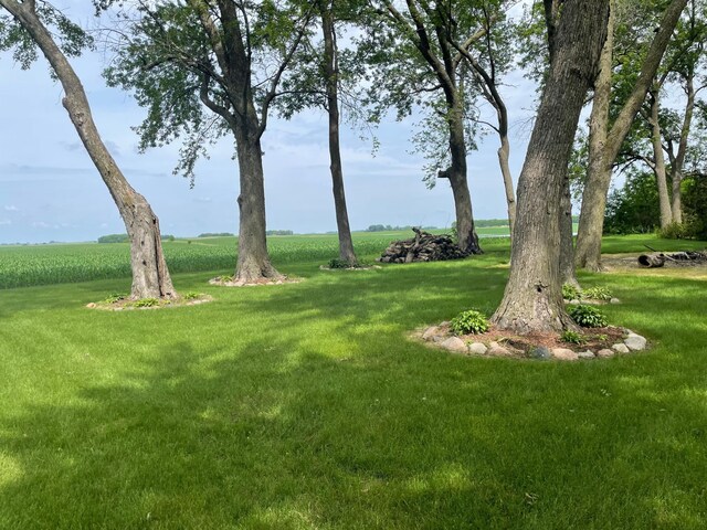23371 650th Ave, Alden, MN 56009 - photo 52