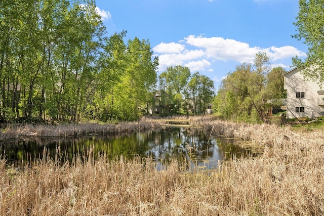 5390 157th St N, Hugo, MN 55038 - water view