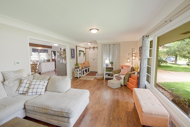 1016 26th Ave N, Saint Cloud, MN 56303 - living area featuring a barn door, wood finished floors, and crown molding