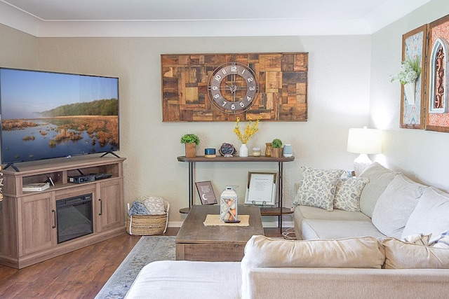 1016 26th Ave N, Saint Cloud, MN 56303 - living room featuring dark wood-style floors and baseboards