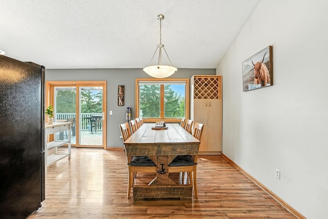 16953 Simpkins Cir SW, Prior Lake, MN 55372 - photo 6