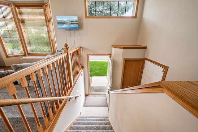 20060 Heritage Dr, Lakeville, MN 55044 - stairway featuring carpet