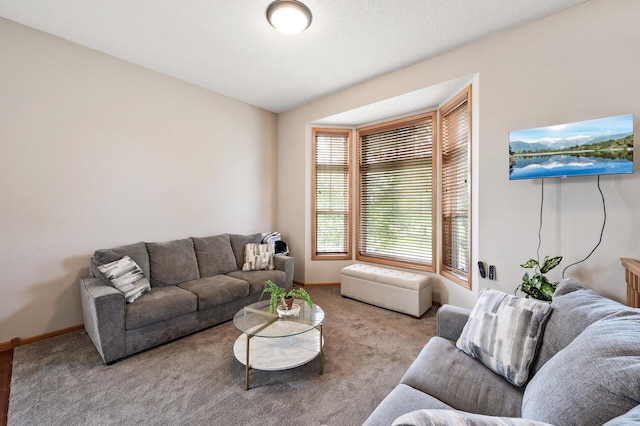20060 Heritage Dr, Lakeville, MN 55044 - living area with carpet and baseboards