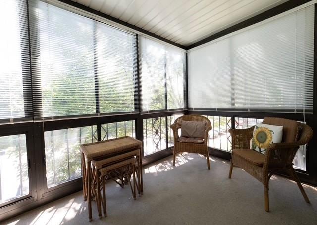 2720 Dale St N Unit C206, Roseville, MN 55113 - view of sunroom