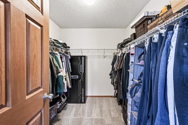 14220 Avalon Path Unit 1102, Rosemount, MN 55068 - spacious closet featuring carpet floors
