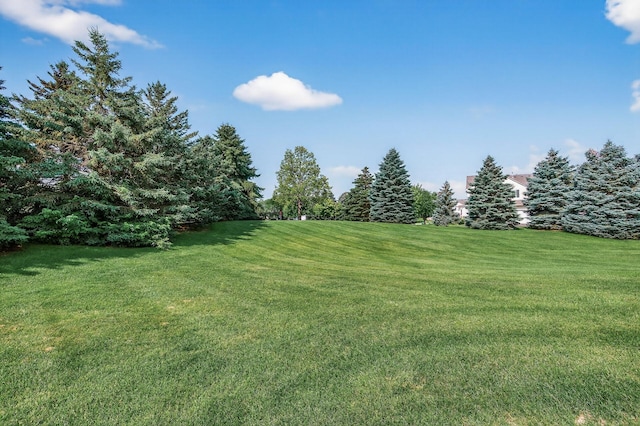 14220 Avalon Path Unit 1102, Rosemount, MN 55068 - view of grassy yard