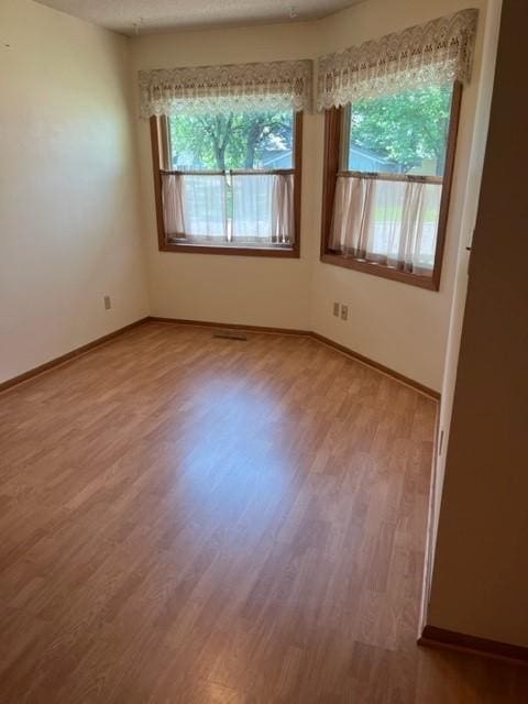 324 7th St, Windom, MN 56101 - unfurnished room featuring healthy amount of natural light and light wood-style flooring