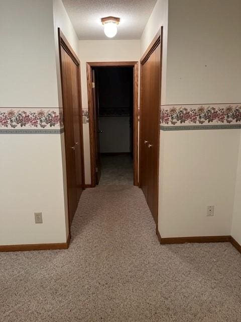 324 7th St, Windom, MN 56101 - hallway with a wainscoted wall, light colored carpet, and a textured ceiling