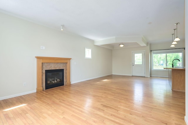 12344 67th St NE, Otsego, MN 55330 - unfurnished living room featuring plenty of natural light, light wood-style flooring, and a fireplace