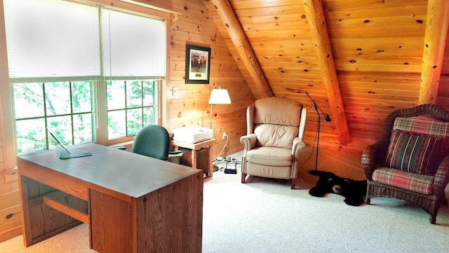 2357 Retreat Lodge Rd, Greenwood Twp, MN 55723 - photo 23