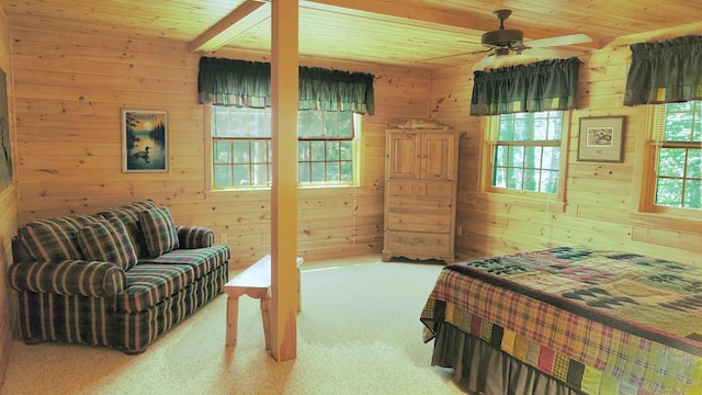 2357 Retreat Lodge Rd, Greenwood Twp, MN 55723 - photo 40