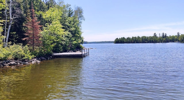 2357 Retreat Lodge Rd, Greenwood Twp, MN 55723 - photo 48