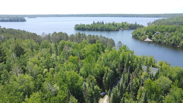 2357 Retreat Lodge Rd, Greenwood Twp, MN 55723 - photo 45