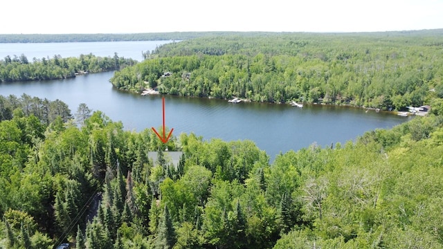2357 Retreat Lodge Rd, Greenwood Twp, MN 55723 - photo 56