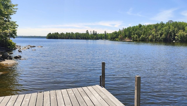 2357 Retreat Lodge Rd, Greenwood Twp, MN 55723 - photo 60