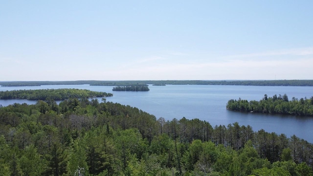 2357 Retreat Lodge Rd, Greenwood Twp, MN 55723 - photo 63