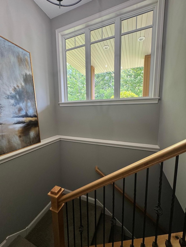 29680 Hidden Forest Blvd, Chisago City, MN 55013 - stairway with carpet flooring