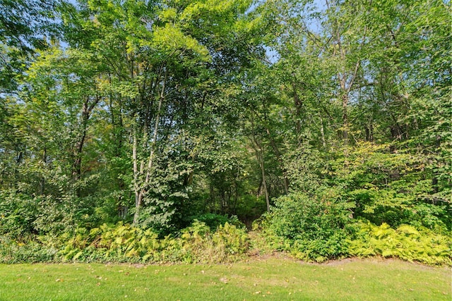 29680 Hidden Forest Blvd, Chisago City, MN 55013 - view of yard with a wooded view