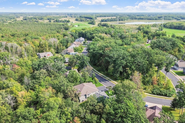 29680 Hidden Forest Blvd, Chisago City, MN 55013 - view of property location featuring a forest