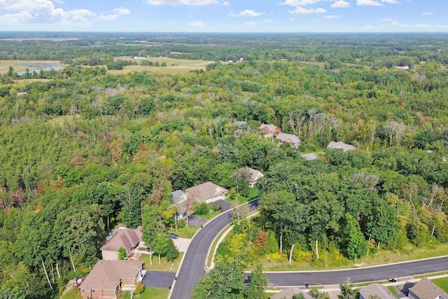 29680 Hidden Forest Blvd, Chisago City, MN 55013 - view of property location with nearby suburban area