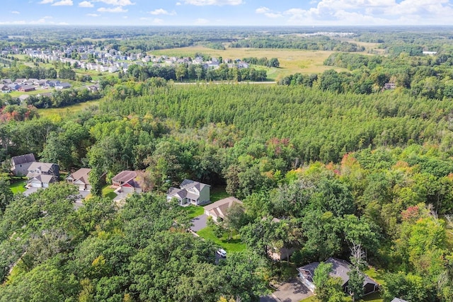 29680 Hidden Forest Blvd, Chisago City, MN 55013 - aerial overview of property's location with a heavily wooded area and nearby suburban area
