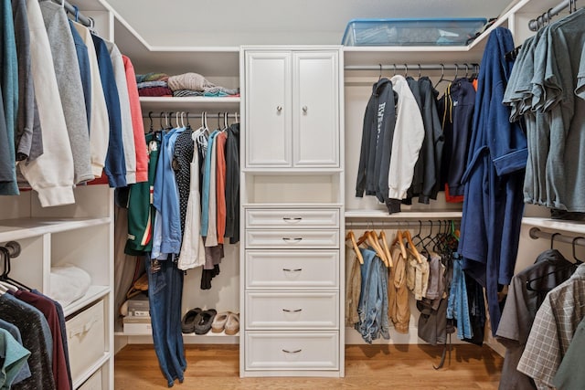 4584 162nd Ln NW, Andover, MN 55304 - walk in closet featuring light wood-style flooring
