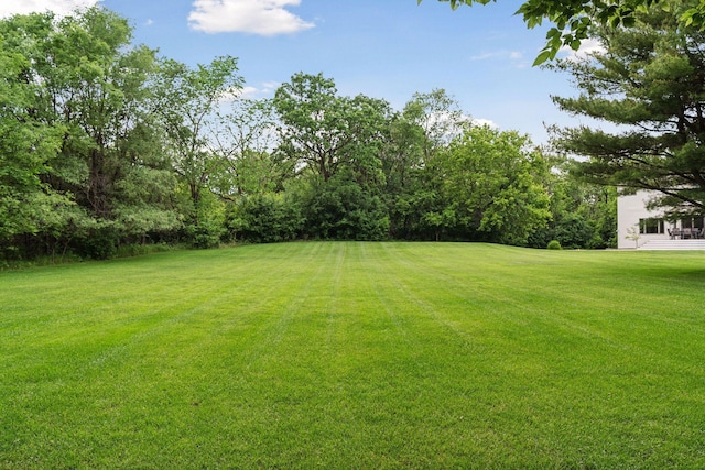 4584 162nd Ln NW, Andover, MN 55304 - view of grassy yard