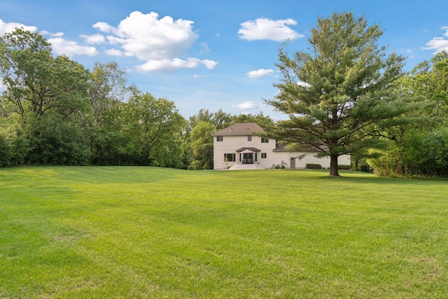 4584 162nd Ln NW, Andover, MN 55304 - view of grassy yard
