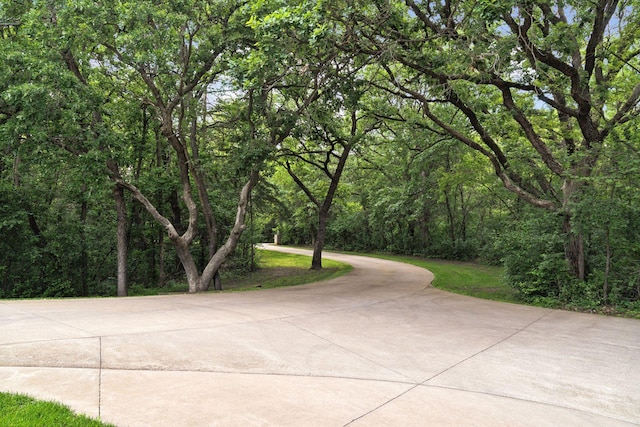 4584 162nd Ln NW, Andover, MN 55304 - view of home's community featuring a view of trees